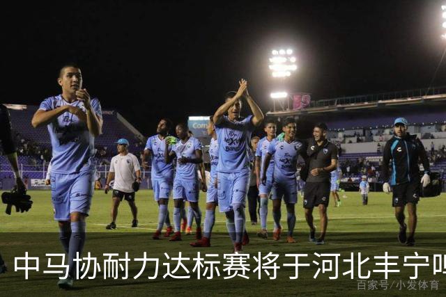 中马协耐力达标赛将于河北丰宁鸣枪 数十家专业马术俱乐部角逐