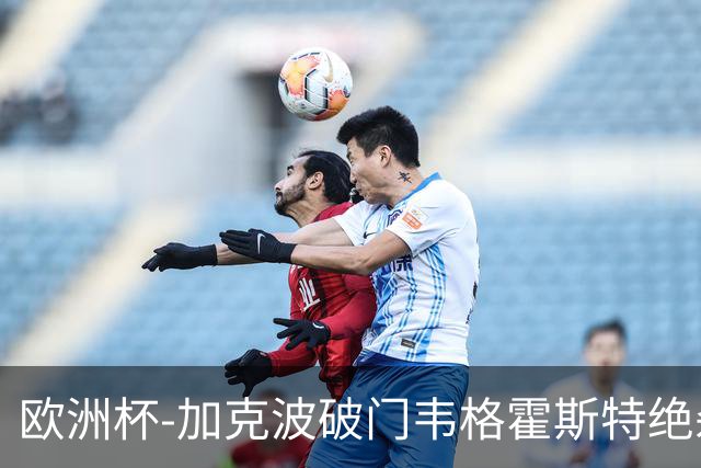 欧洲杯-加克波破门韦格霍斯特绝杀 荷兰2-1波兰